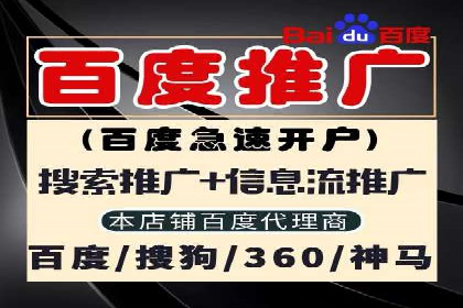 行业领先的SEM策略：成功案例与经验分享